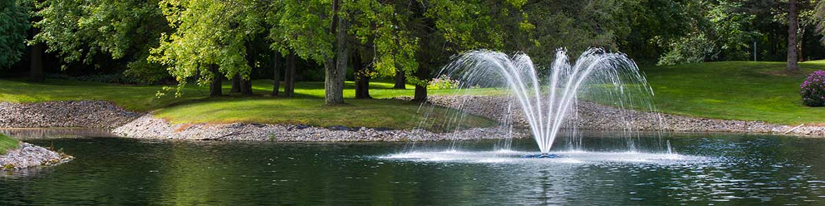 Airmax SolarSeries Single Arch Fountain in Pond
