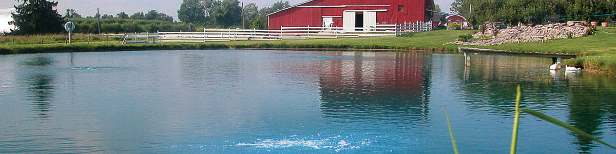 Red Barn Pond