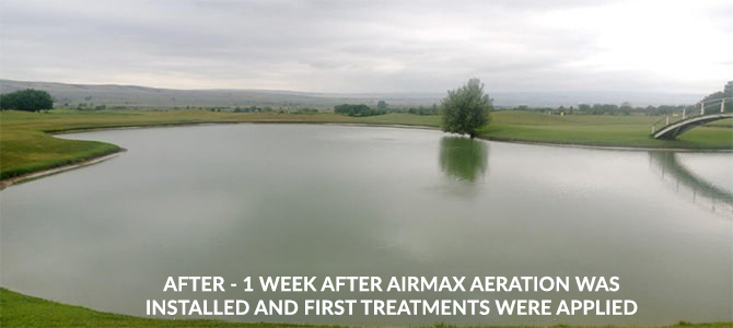 After – 1 week after Airmax aeration was installed and first treatments were applied.