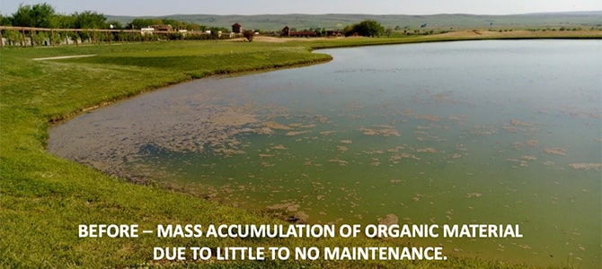 Before - mass accumulation of organic material due to little to no maintenance.