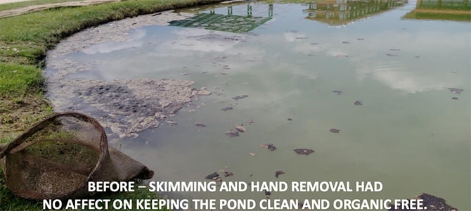 Before - skimming and hand removal had no affect on keeping the pond clean and organic free.