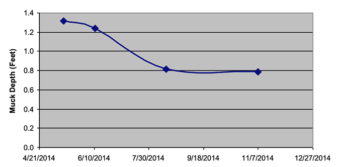 Average Muck Depth Trend