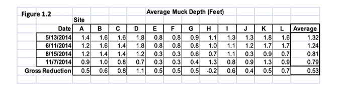 Figure 1.2