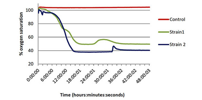 MuckAway Degradation Graph