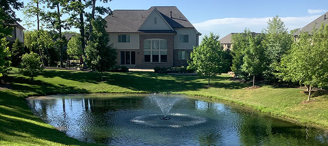 Pond After Treatment