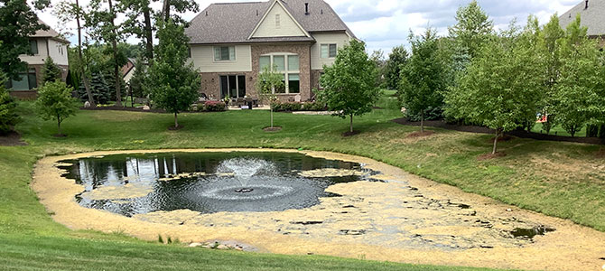 Pond Before Treatment